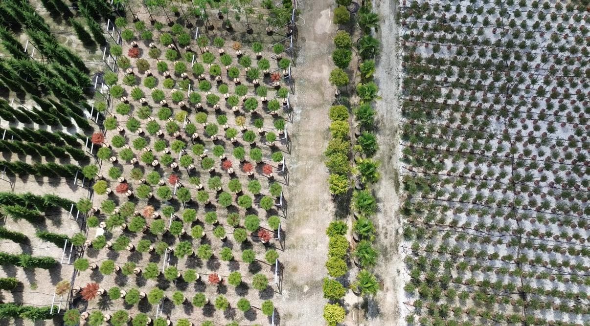 Aerial drone view of modern nursery garden center
